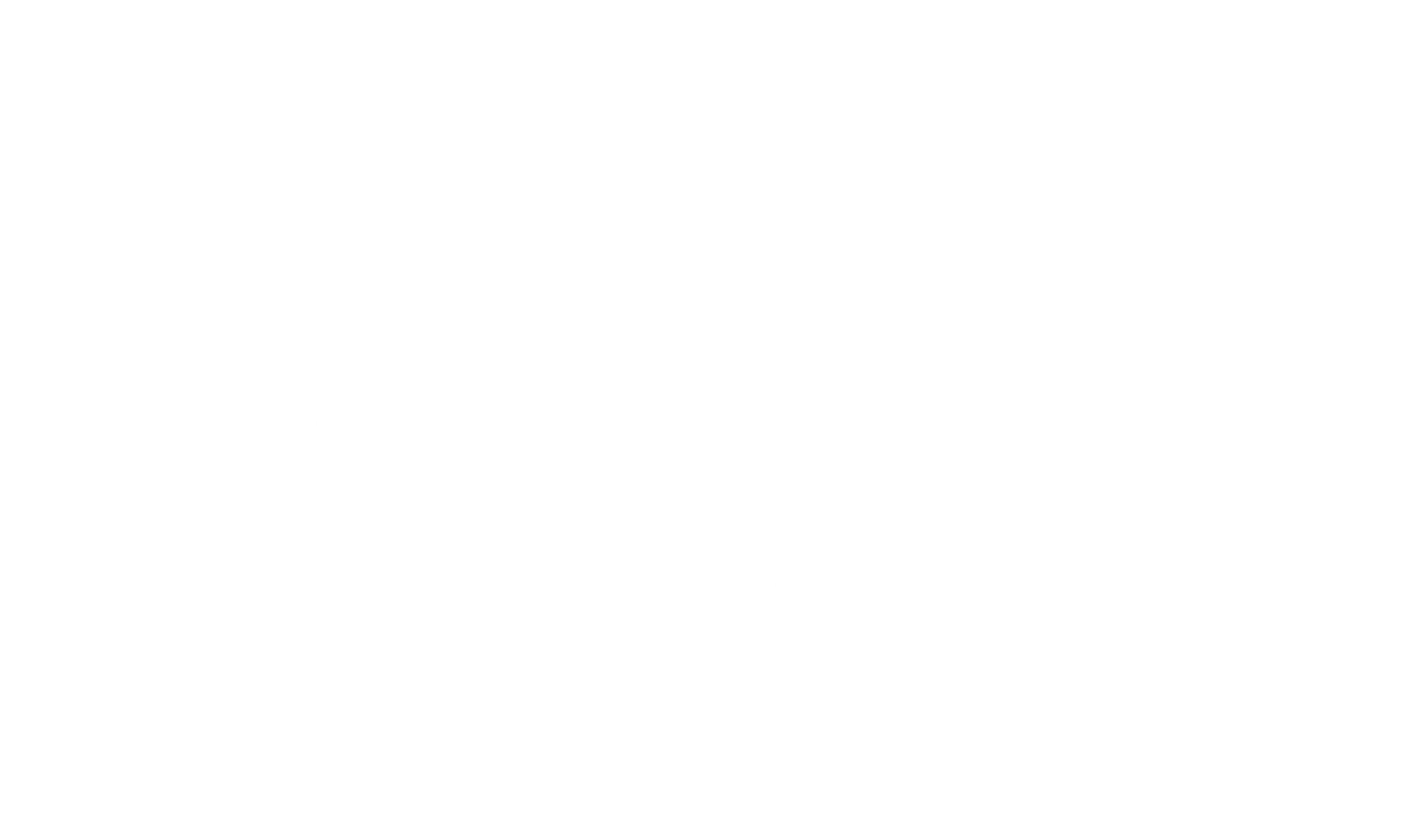 NOVO-LOGO-EMMEDICAL-br